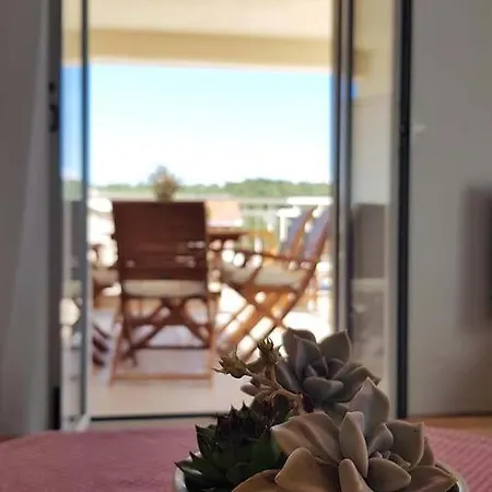 Villa Vila Jolanta Milna (Brac)